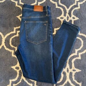 Madewell Roadtripper Jansen Wash Skinny Jeans